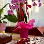 Il Ritrovo Delle Volpi Bed & Breakfast