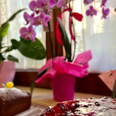 Il Ritrovo Delle Volpi Bed & Breakfast
