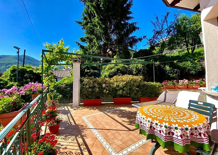 Il Ritrovo Delle Volpi